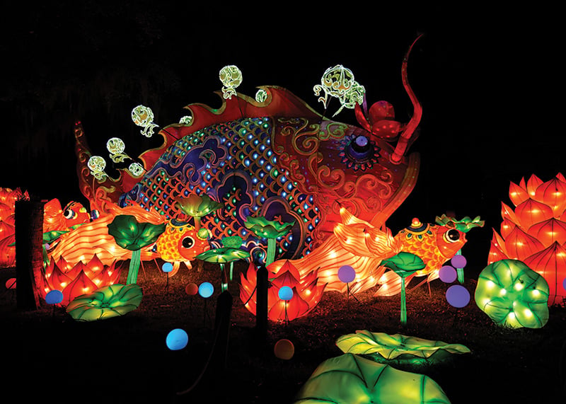 Asian Lantern Festival