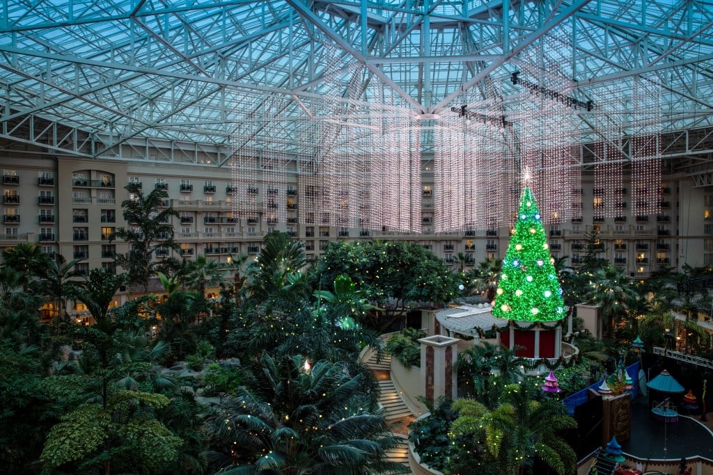 Atrium Cmas Tree Lights