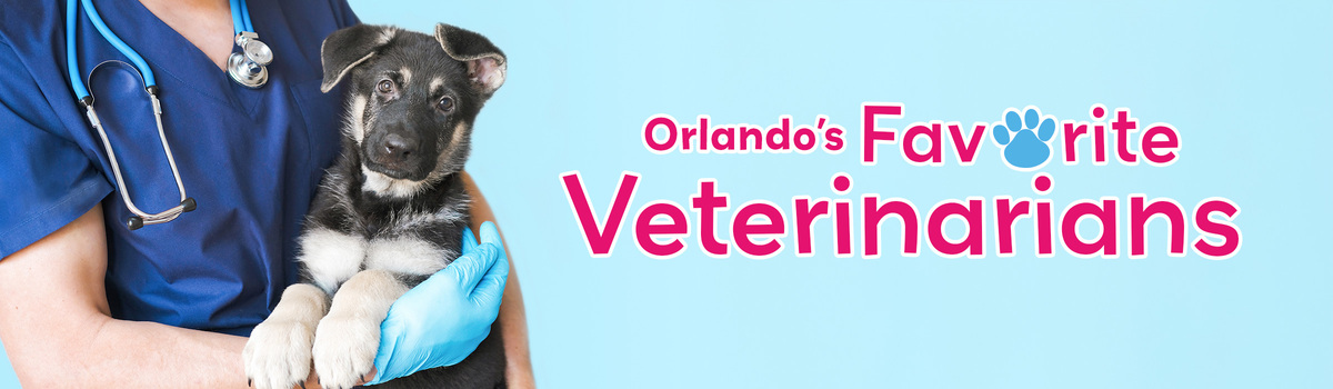 Favoritevets Banner