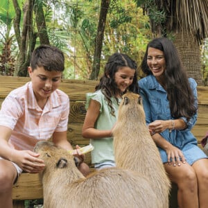 Wild Florida Gator Park Capybara Encounter 7