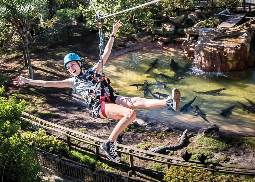 Zipline Attractions